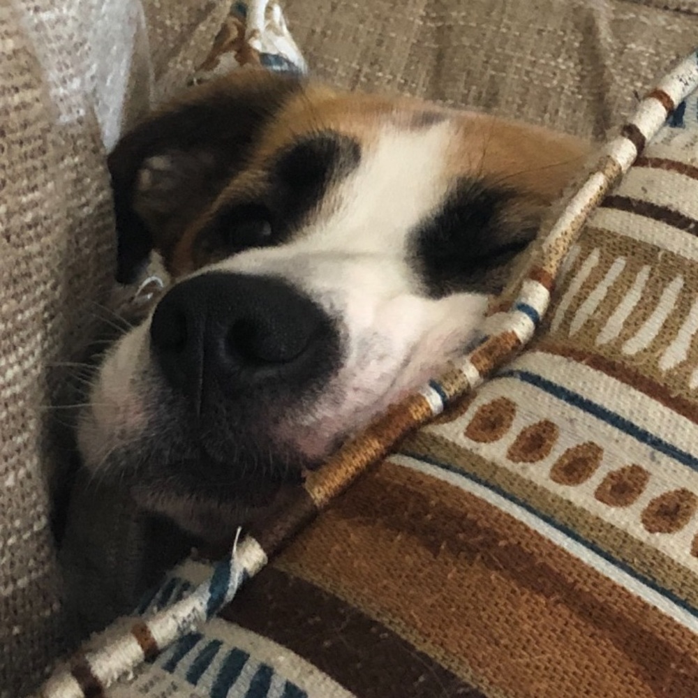 Meet your Posher, Marissa